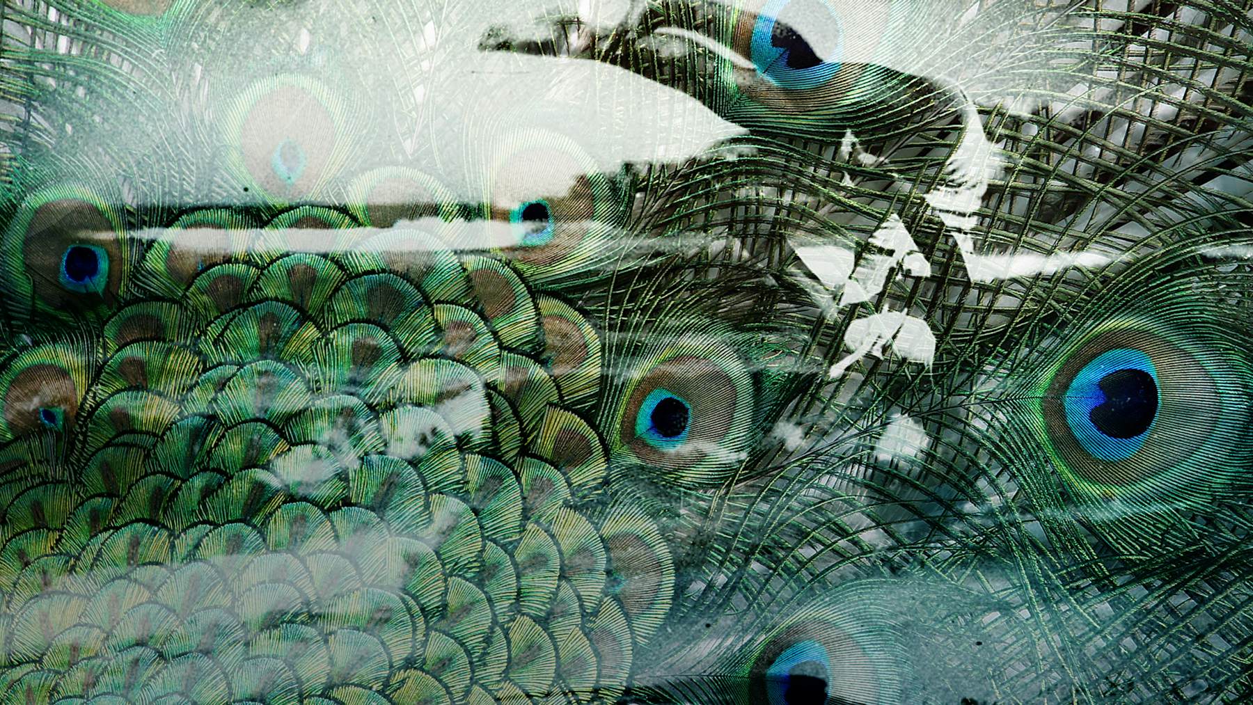 Hidden Image to aid in Parallax Effect